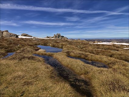 Alpine Marshland - Rams Head Range - NSW SQ (PBH4 00 10815)